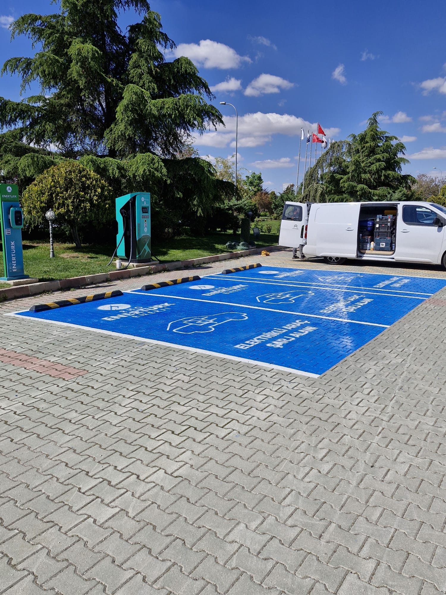 Ağaçlıklı açık otoparkta mavi şarj park alanları ve elektrikli araç şarj cihazları